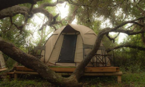 Bitou Valley Biocamp